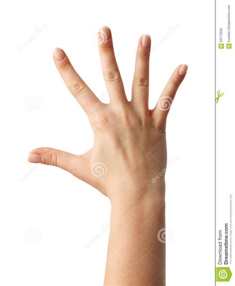 Two Hands Gestures Royalty Free Stock Photo 124386027
