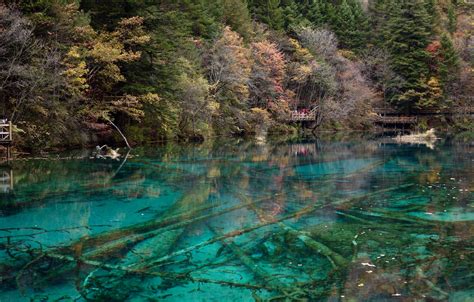 Five Flower Lake Jiuzhaigao National Park In Sichaun China Travel