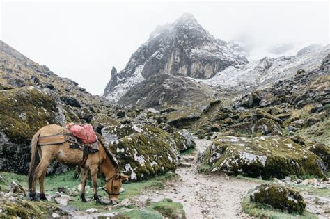 The Ultimate Guide To Exploring The Salkantay Trail