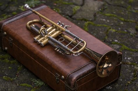 10 Best Trumpet Cases In The Market Top Pick 2020