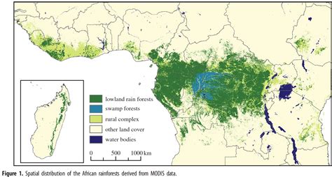Le Taux De Déforestation Chute Dans Les Pays Du Bassin Du Congo
