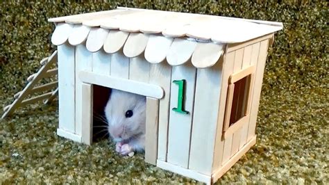 How To Make Babe Hamster House Very Easy Quick DIY Coisas De Hamster Brinquedos Para