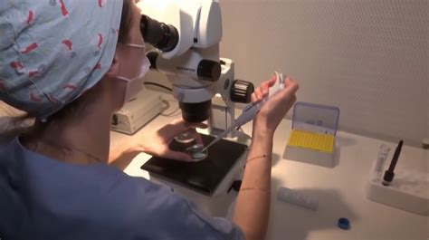 What Is Ivf A Nurse Explains The Evolving Science And Legality Of In