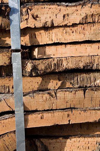 Pile Of Cork Bark Stock Photo Download Image Now Group Of Objects