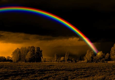The Meaning And Symbolism Of The Word Rainbow
