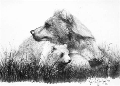Alert Mom Grizzly Bear Drawing By Bob Patterson
