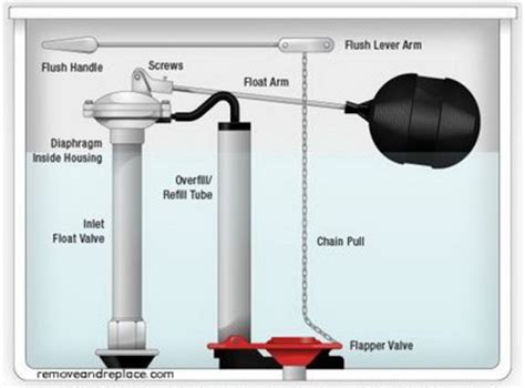 Home Improvement How To Make Your Toilet Flush Stronger Without