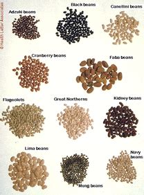 As a matter of fact, there were days i eat fufu like five times a week, it is a very heavy food and very scarce in this part of the world where i now live. LEGUMES - V.I.P. - Very Italian People