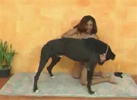 Muscled Black Dog Bangs A Zoofil And Gets A Blowjob Zoo Tube 1