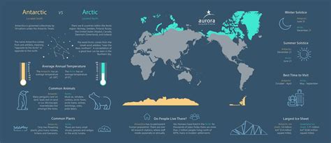 Download Your Own Arctic Vs Antarctica Infographic Aurora Expeditions™