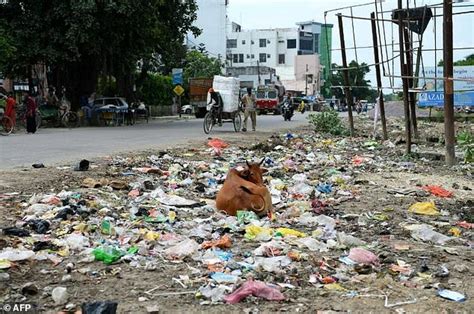 Mountains Of Garbage And Despair In Indias Dirtiest City Daily Mail