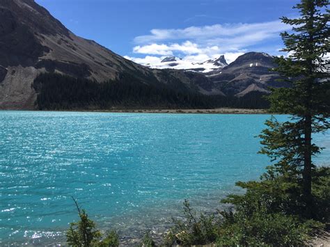 Hiking At Bow Lake A Perfect Day In Banff National Park Wanderer Writes