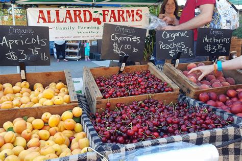 Get Fresh A Bountiful Guide To San Francisco Farmers Markets Carrie