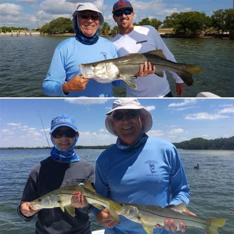 Tampa Bay Inshore Snook Fishing Fishing Charters St Pete Beach