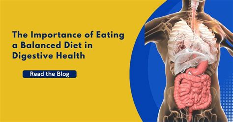 The Importance Of Eating A Balanced Diet In Digestive Health Dr Maran