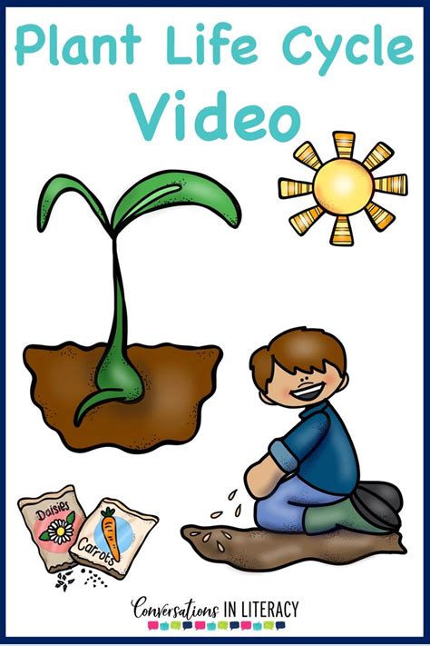 Plant Life Cycle Activities Projects And A Free Printable For Your
