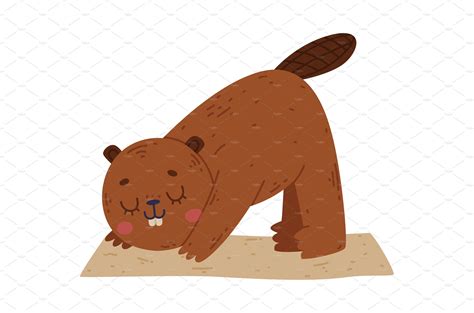 Funny Beaver Animal On Yoga Mat Masterbundles