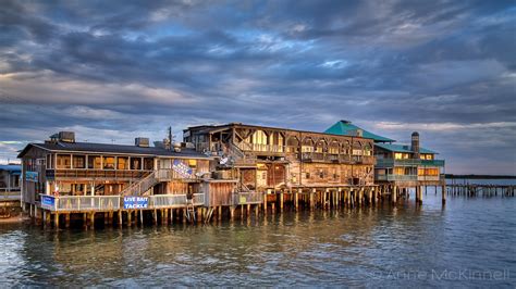 43 Things To Do In Cedar Key Florida