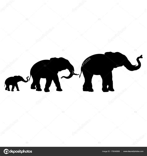 Siluetas De Elefantes Vector Gráfico Vectorial © Newgena Imagen 176046888