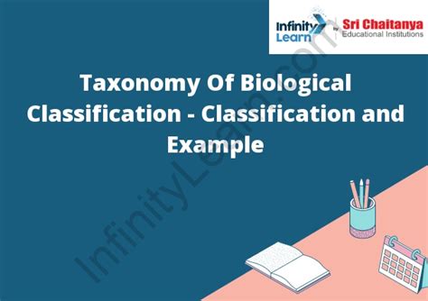 Taxonomy Of Biological Classification Classification And Example