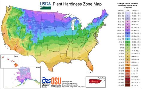 How To Identify Species Of Palm Trees Plant Hardiness Zone Map Plant