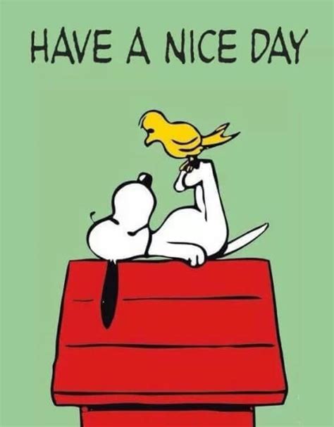 We Say To You "Have a great day!" 24 Times And You're ...