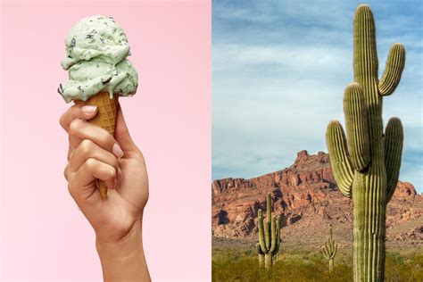 Dessert Vs Desert Tips To Spell Tricky Words