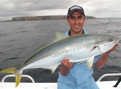 Call For Fishos To Join Nsw Advisory Council Fishing World Australia