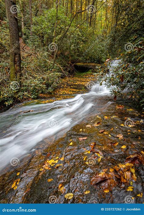 Beautiful Camp Creek Falls Wander Through Pisgah Forest In Glen Cannon