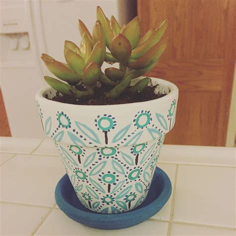 Hand Painted A Pot For My Cute Little Succulent Plant Planting