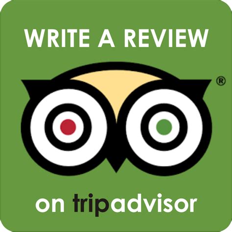 Trip Advisor For Travel Businesses Apollo Digital Agency