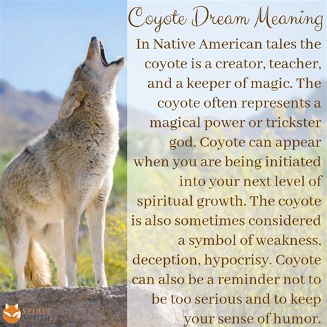 Native American Coyote Symbol