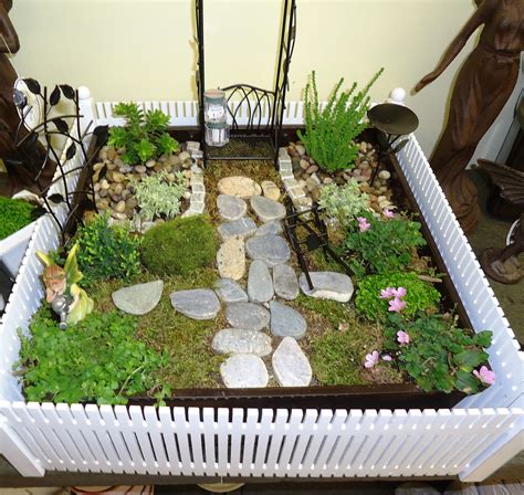 Indoor Miniature Garden Plants