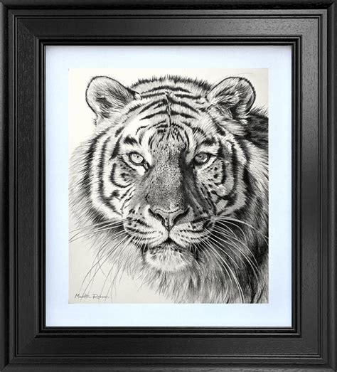 Amur Tiger Study Piece Gallery