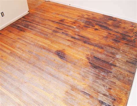 Removing Black Water Stains From Oak Floors Review Home Co