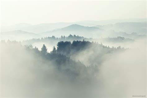 The Fog Photography By Kilian Schönberger Fog Photography Foggy
