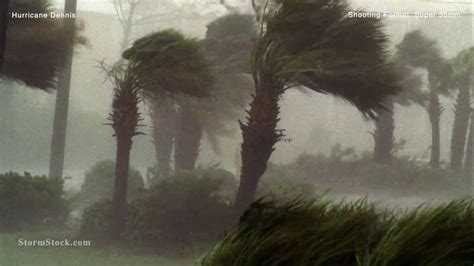 Palm Trees Intense Winds Hurricane Dennis 35mm Stormstock Youtube