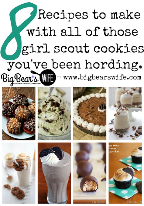 8 Recipes To Make With All Of Those Girl Scout Cookies You