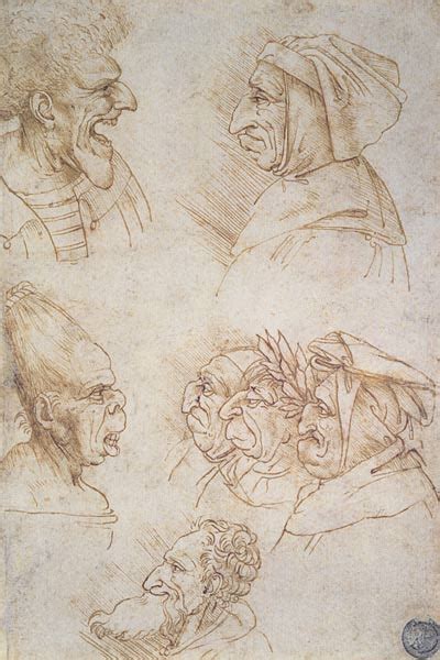 Seven Studies Of Grotesque Faces Leonardo Da Vinci
