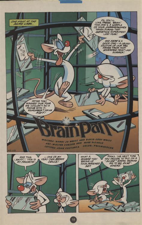 Pinky And The Brain Issue Read Pinky And The Brain Issue Comic Online In High Quality