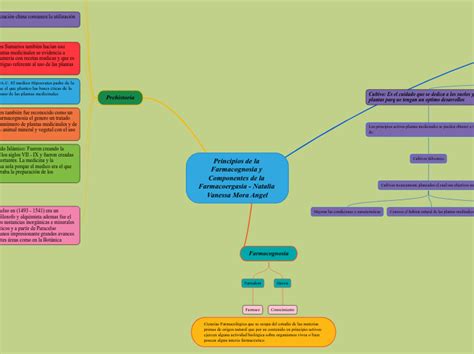 Principios De La Farmacognosia Y Component Mind Map The Best Porn Website