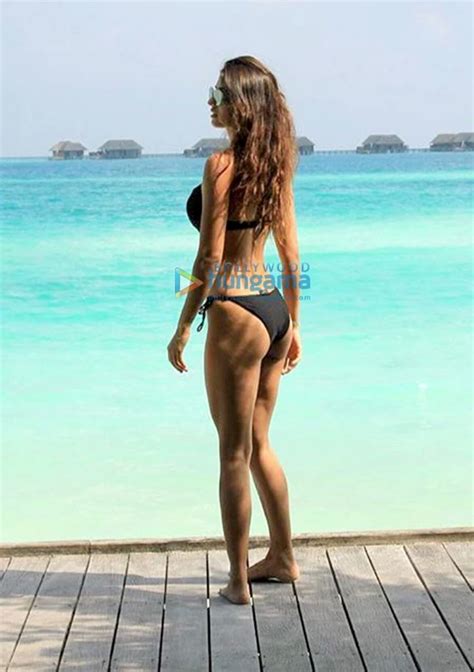 Disha Patani Disha Patani Bikini Bikinis Bikini Pictures