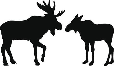 Download Best Moose Illustrations, Royalty-Free Vector Graphics ...