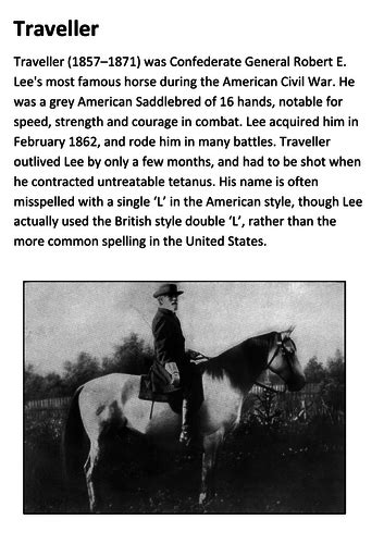 Traveller General Robert E Lees Horse Handout Teaching