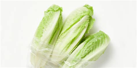 Romaine Lettuce All You Need To Know Guide To Fresh Produce