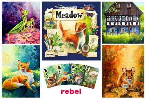 Meadow Board Game Illustrations On Behance