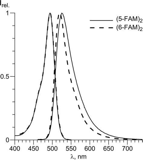 Normalized Absorption And Fluorescence Spectra Of 5 Fam2 And 6 Fam2