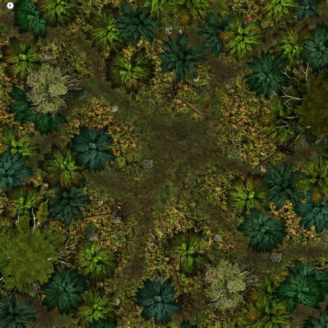 Dense Jungle Map Variation In Comments Battlemaps