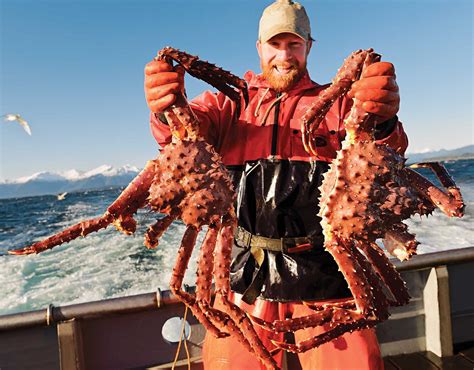 Alaska King Crabs Alaska Seafood Alaskan King Crab King Crab