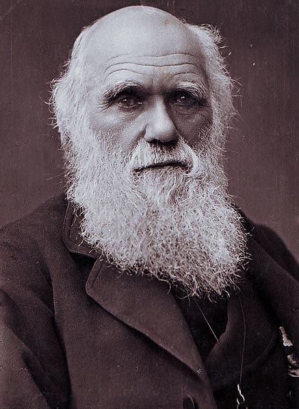 Charles Darwin Biografía Del Naturalista Inglés Definiciones Y
